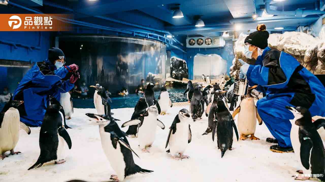 「我與企鵝的0.1毫米」 屏東海生館企鵝照護體驗開跑！