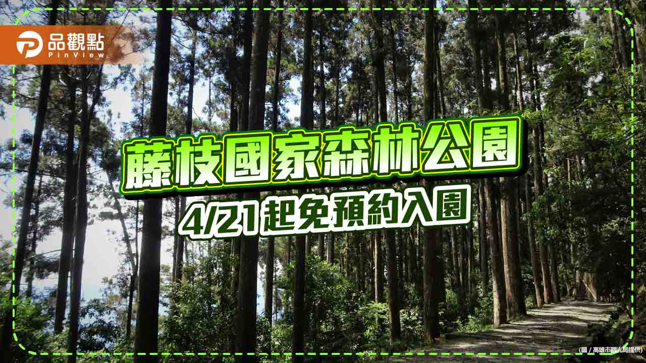 漫步森濤間不用再預約  藤枝國家森林公園 4/21起現場購票即可入園