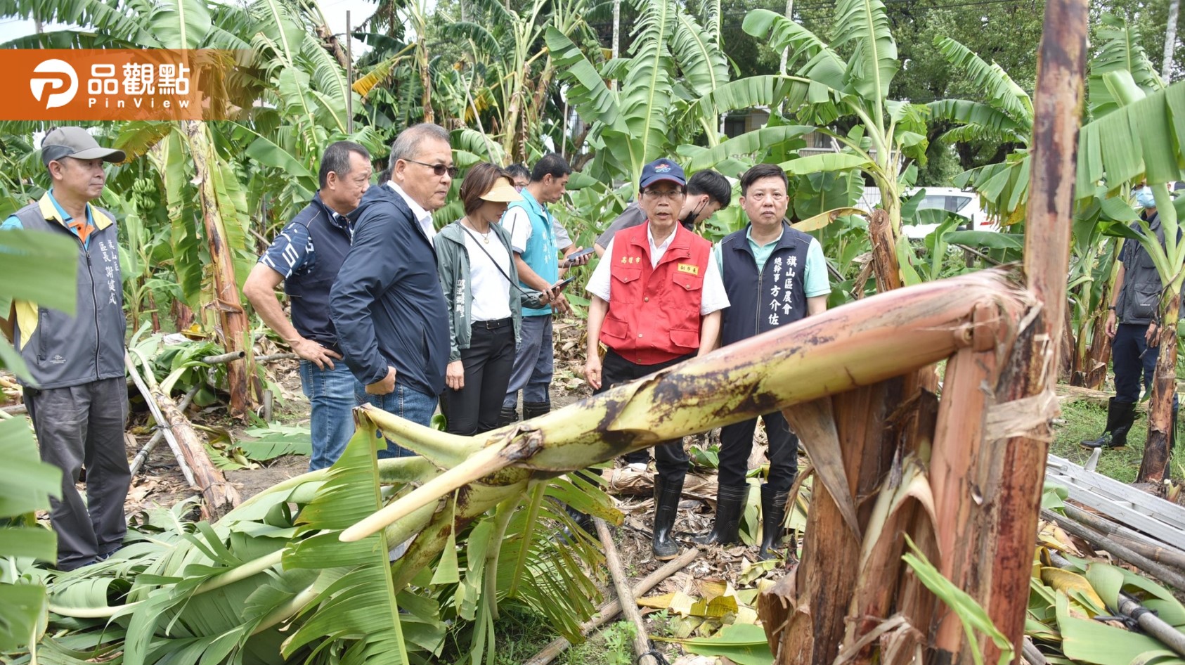 海葵颱風高雄農作受災 林欽榮要求從速從寬從優查報 協助及早復耕