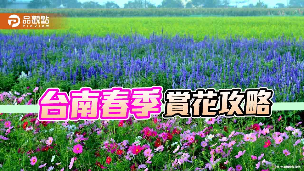 台南迎春花季到！白河木棉花季、學甲蜀葵花文化節正登場