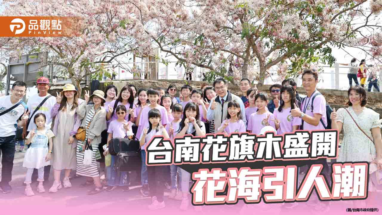 台南「熱帶櫻花」花旗木盛開！百尺粉色花海步道引人潮