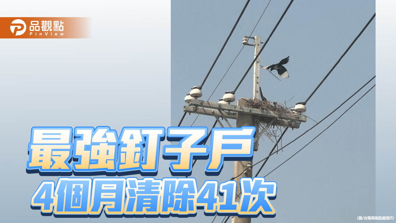 維護用電安全幫電桿鳥巢搬家 最強釘子戶4個月清除41次