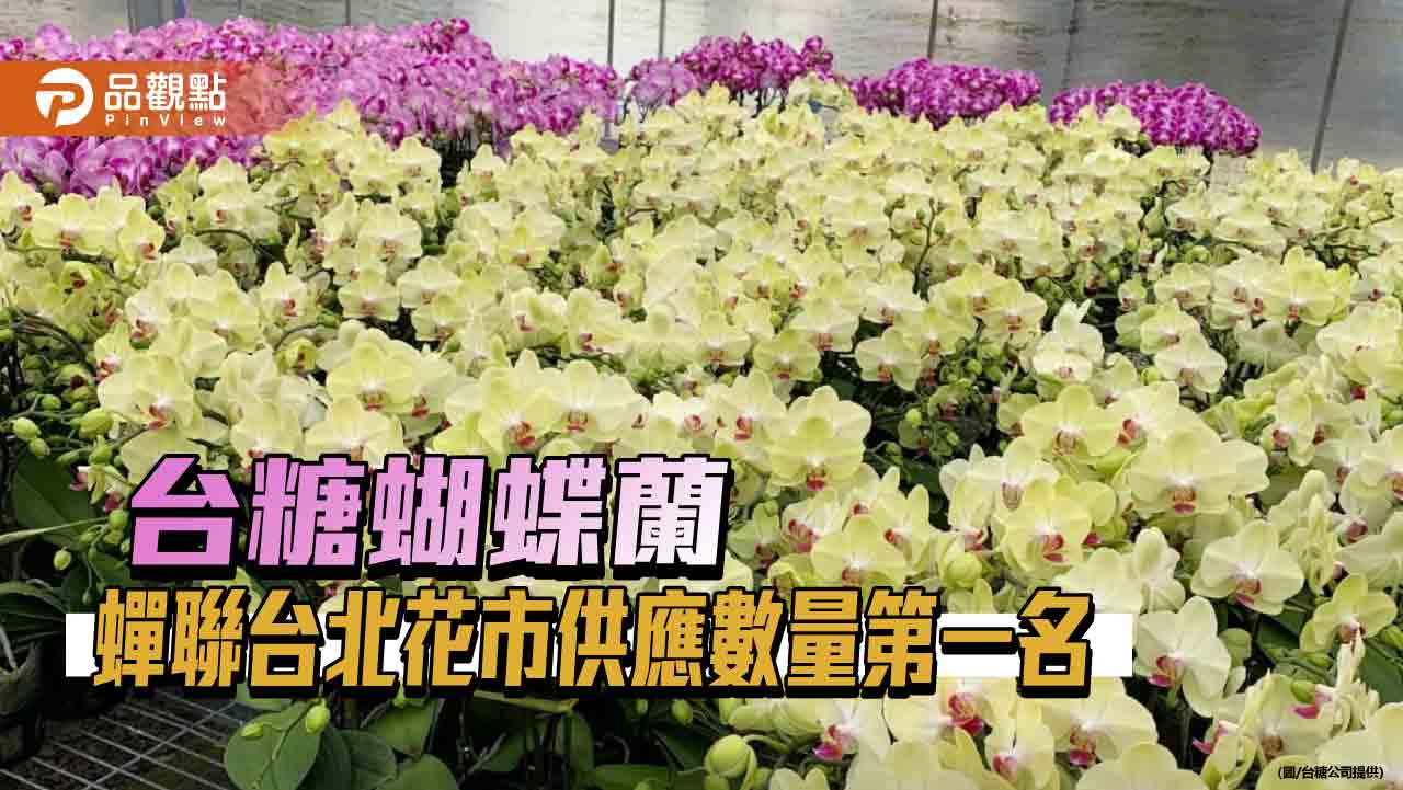 台糖蝴蝶蘭蟬聯台北花市供應數量第一名  好照顧 花期長 深受市場喜愛