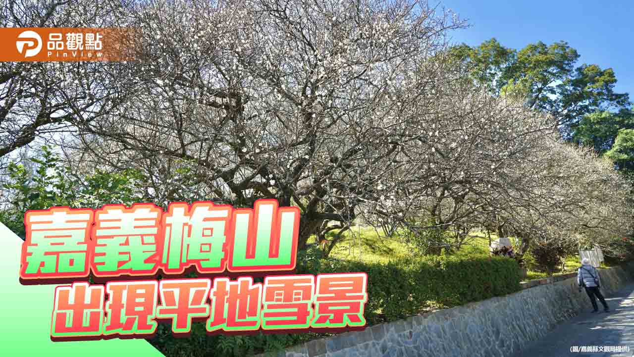 嘉義梅山梅花季浪漫登場！追「平地雪景」盡享視覺與味覺雙重盛宴