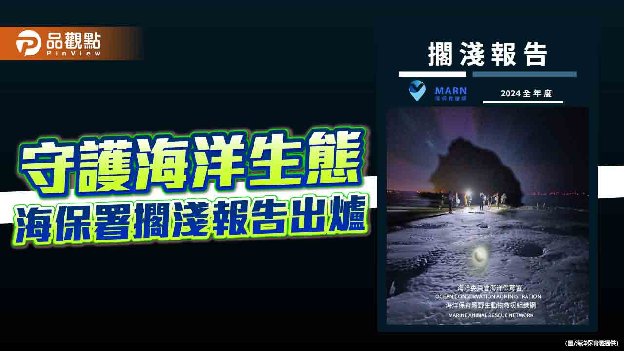 守護海洋生命！2025世界野生動植物日 聚焦臺灣鯨豚與海龜擱淺救援