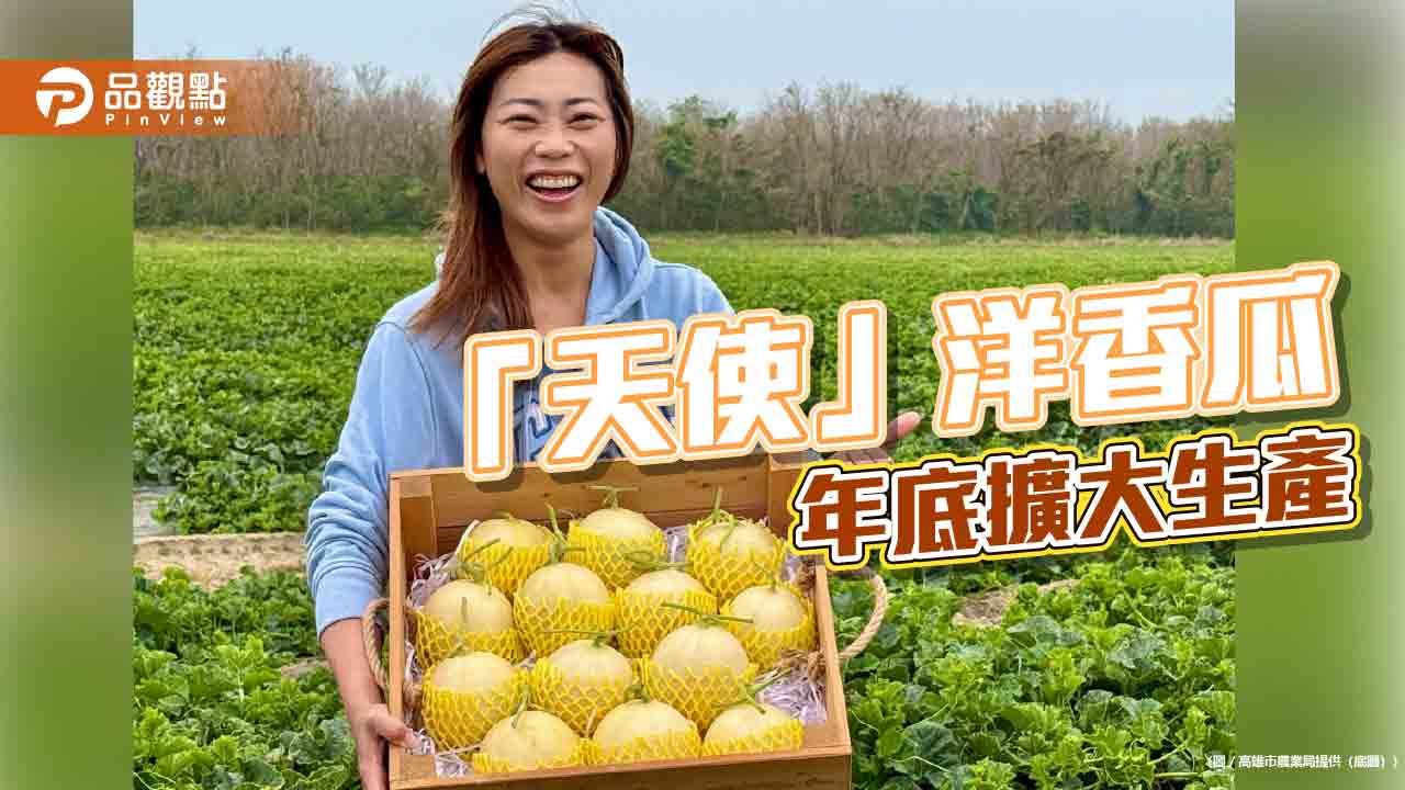 「天使」洋香瓜嶄露頭角 高雄年底擴大生產 讓消費者大飽口福