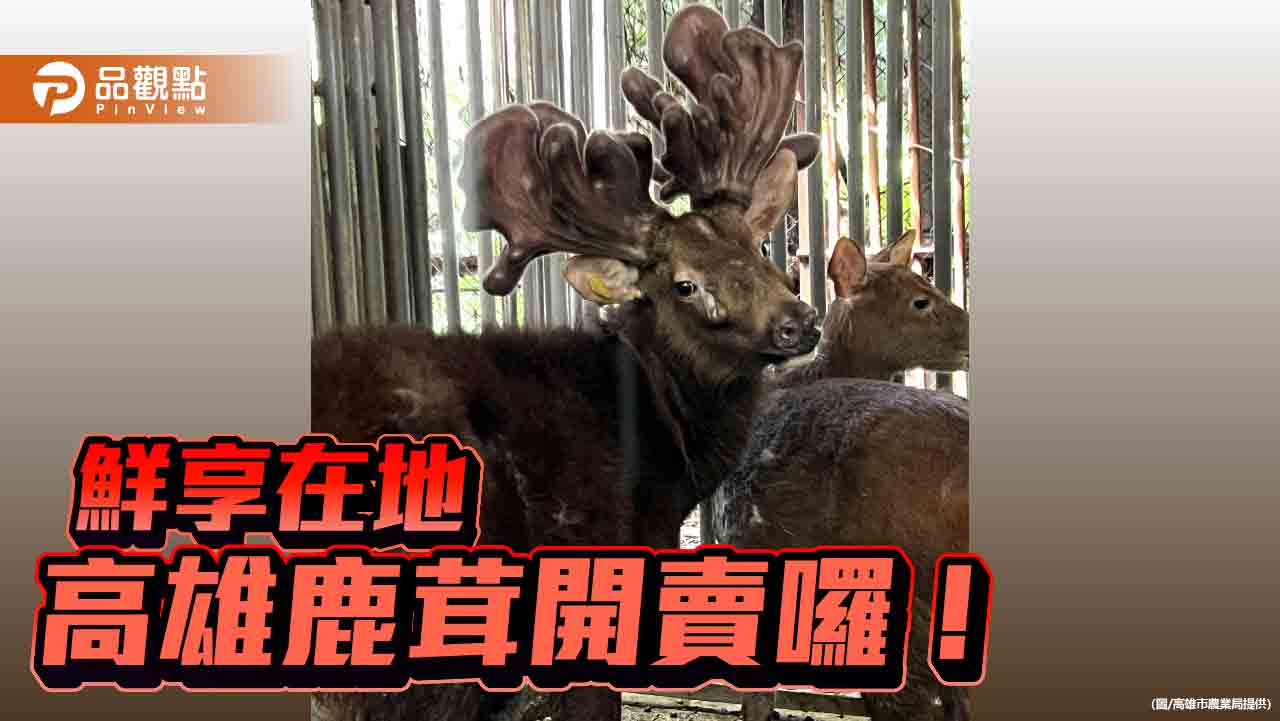高雄鹿茸開賣 新鮮優質在地就買得到!
