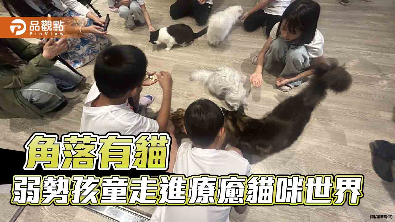 角落有貓攜手文化大學高雄校友會 邀弱勢孩童走進療癒貓咪世界 感受愛與溫暖