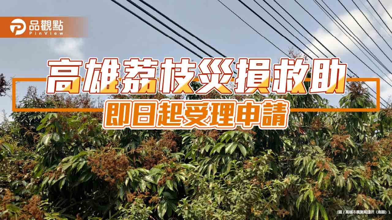 高雄荔枝產區災損嚴重 玉荷包、黑葉即日起申請救助