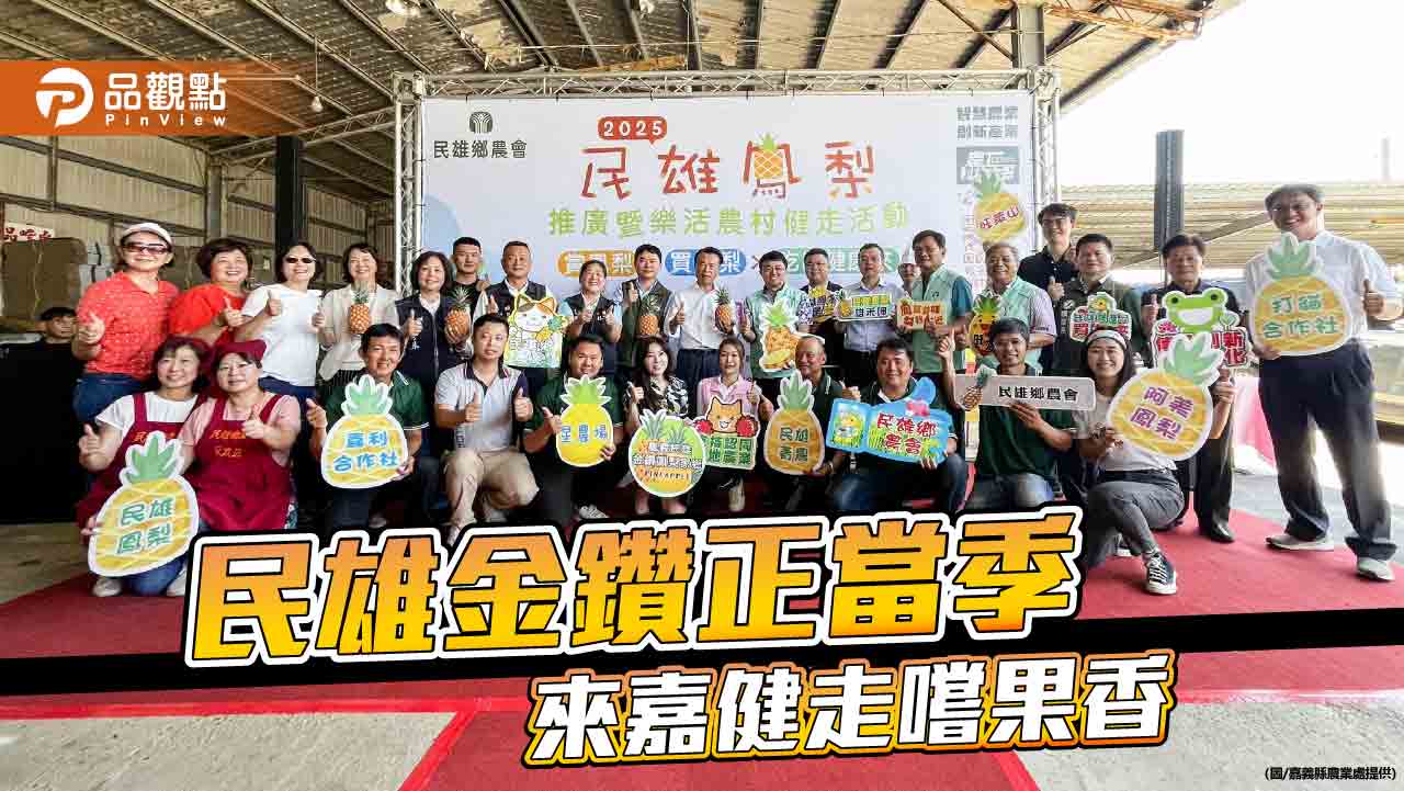 民雄金鑽鳳梨香氣撲鼻！翁章梁邀全民5月健走品果香、賞農村風光