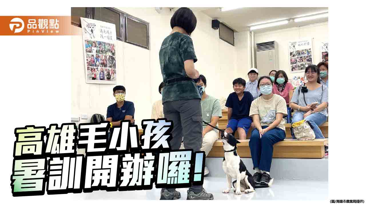 高雄動保處開辦暑期訓犬課程馬拉松 強化飼主責任打造友善毛孩生活
