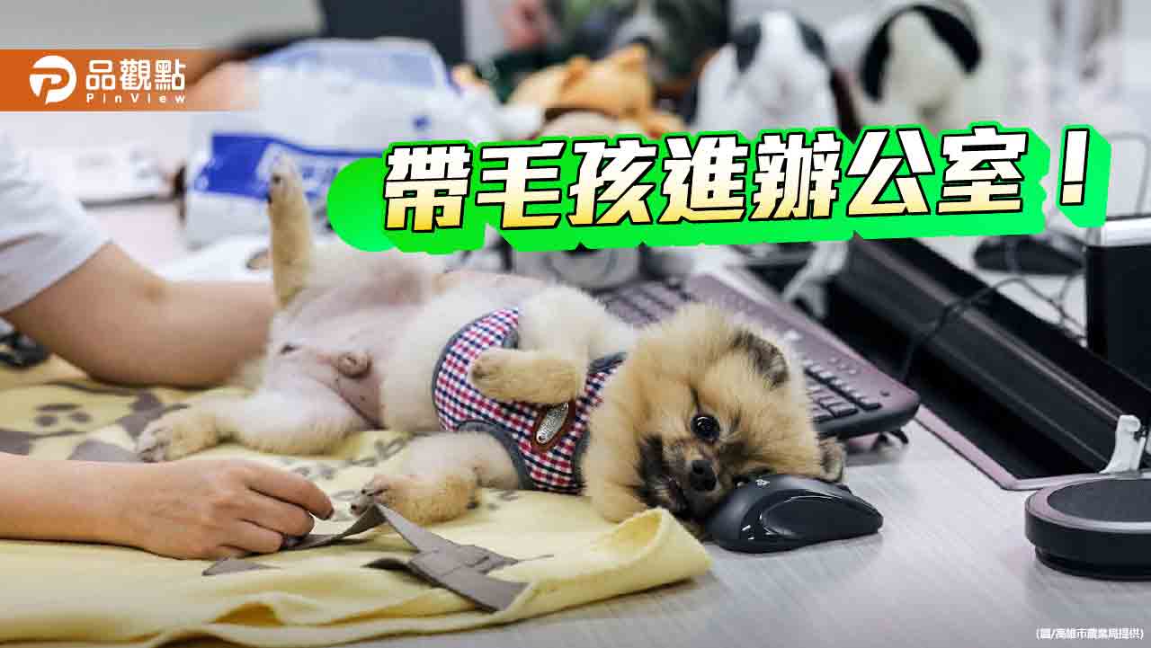 迎接國際帶狗上班日  高雄舉辦人寵共學營
