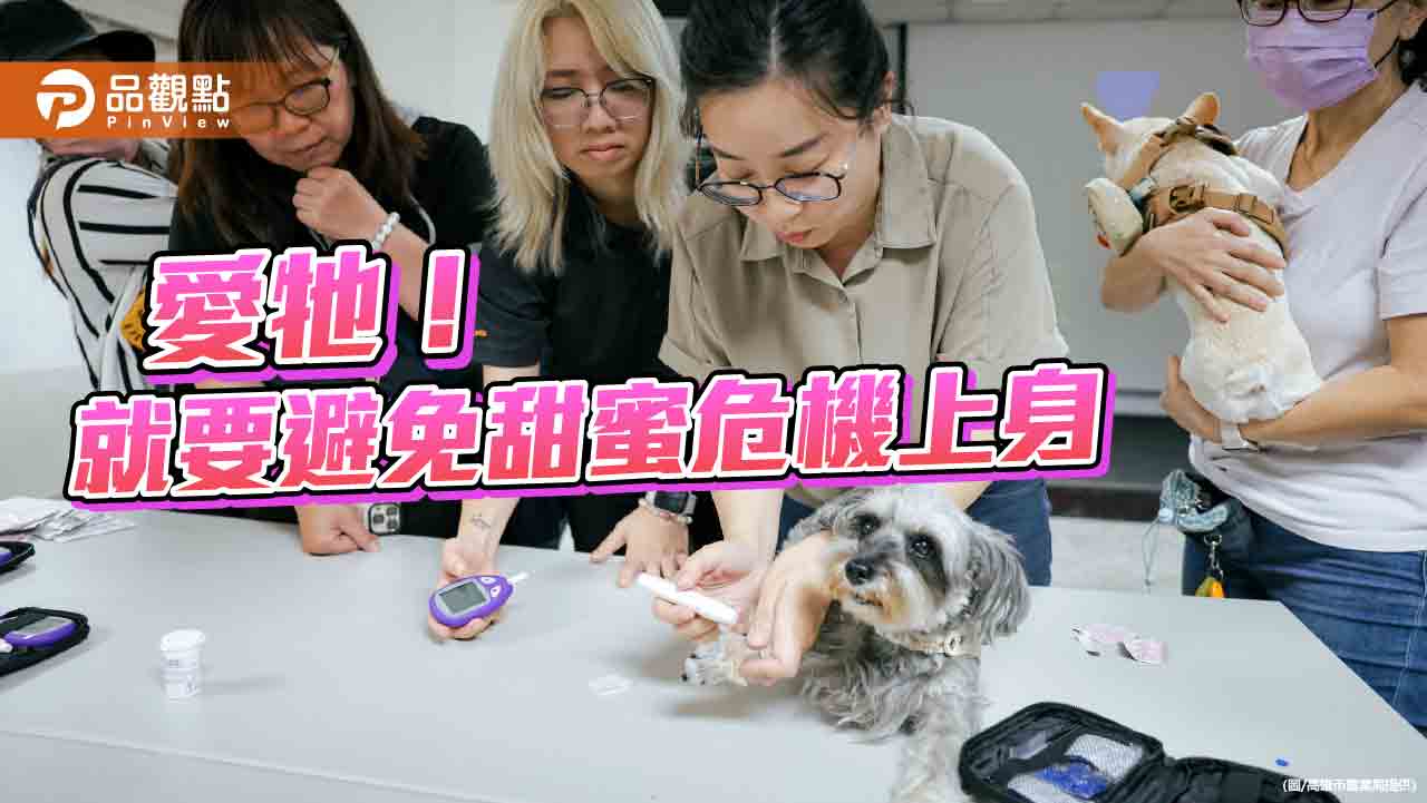 高市推「寵物血糖健康計畫」 助飼主避免毛孩甜蜜危機