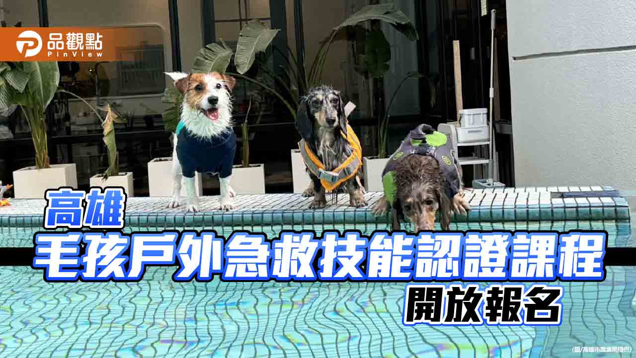 高雄OutDog GoGo戶外急救認證課程 打造寵物友善冒險城市