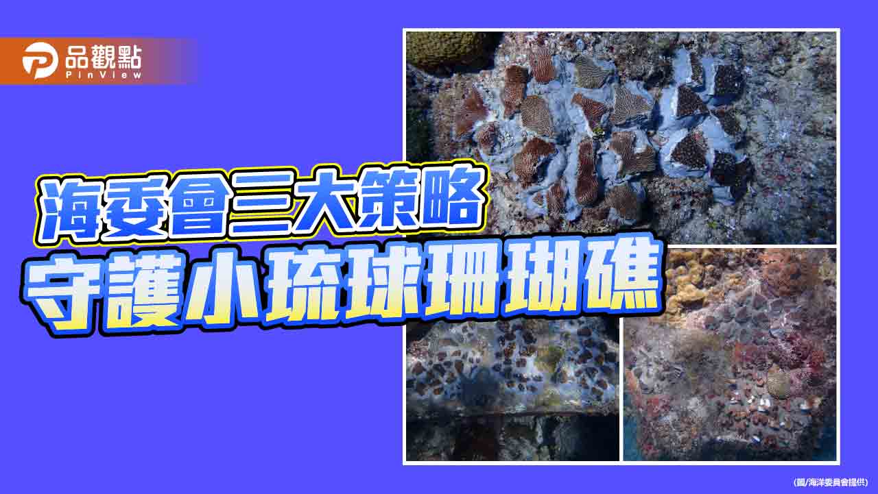 攜手大鵬灣守護小琉球珊瑚礁 海委會多管齊下推三大策略