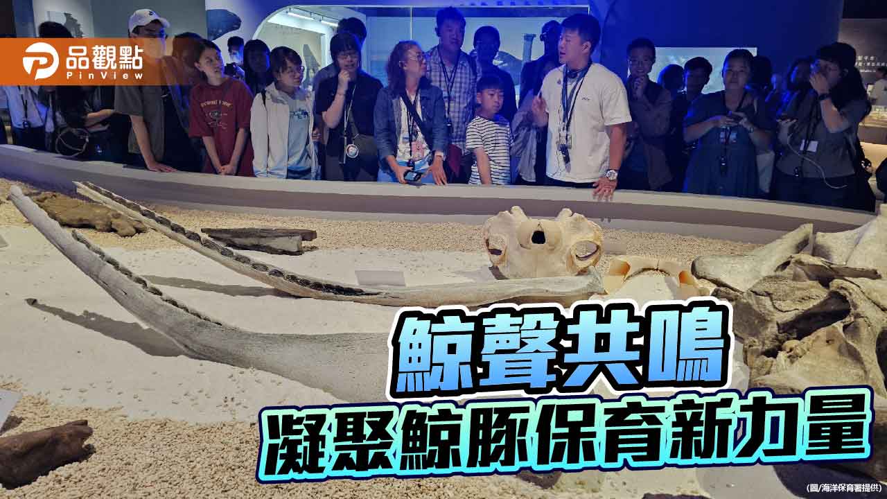 鯨聲共鳴沙龍登場 公民科學凝聚鯨豚保育新力量