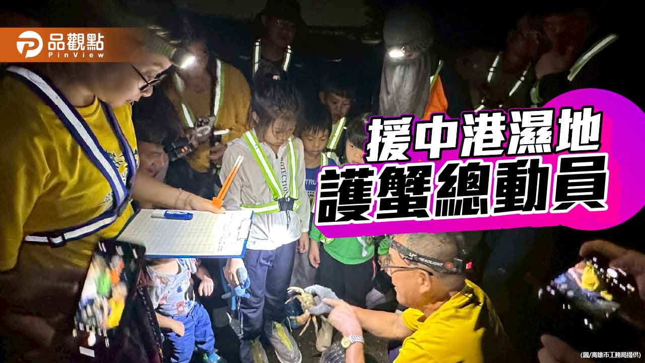援中港濕地生命大遷徙　志工護航陸蟹媽媽平安釋幼