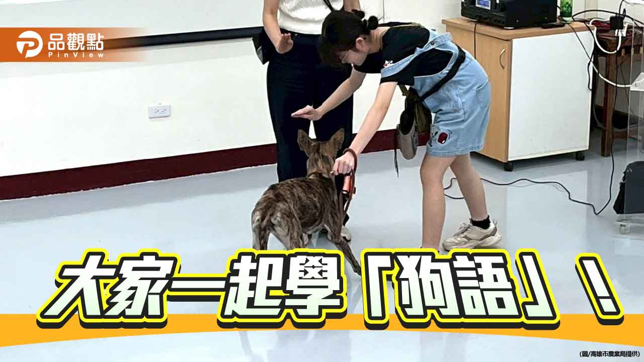 高市動保處暑期訓犬課程 逾200人次參與