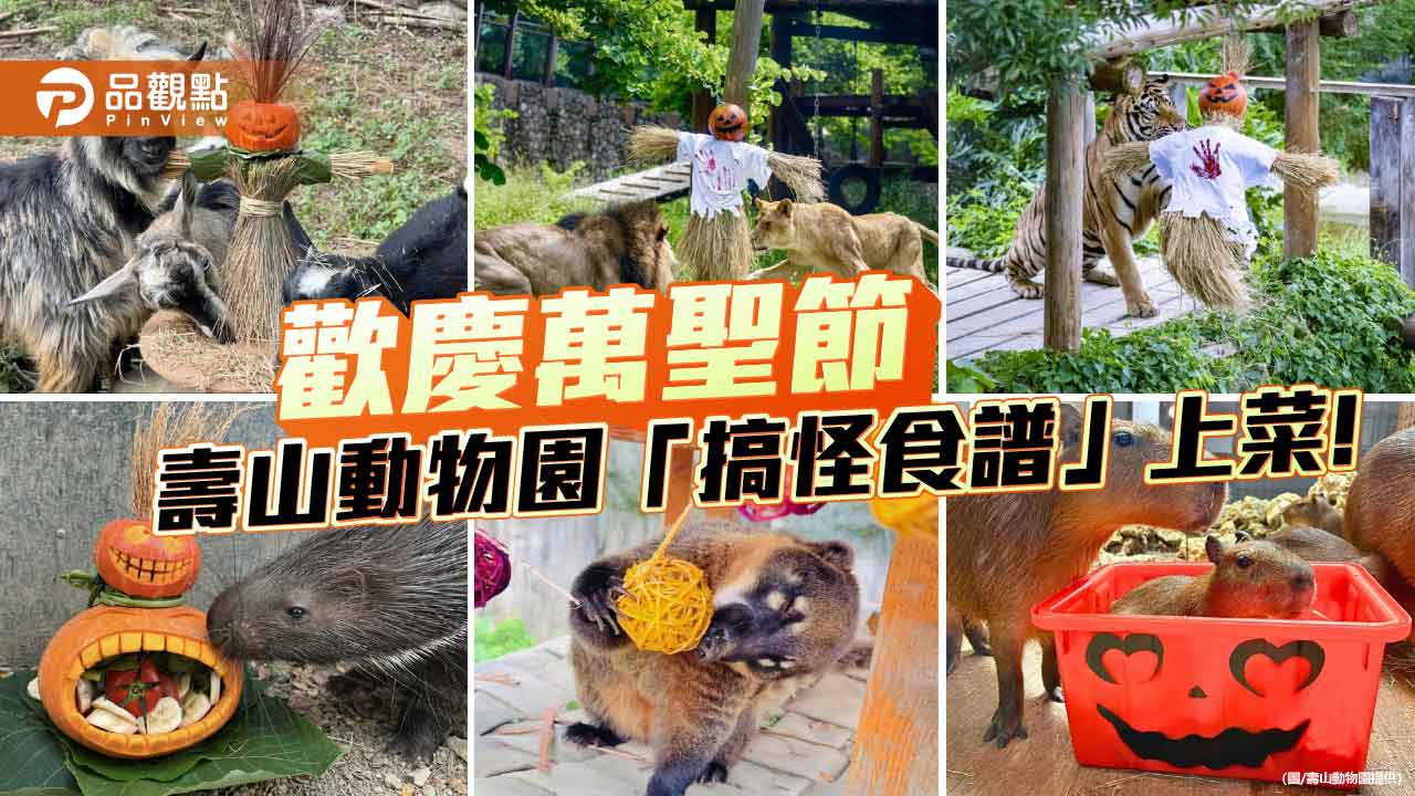 壽山動物園歡慶萬聖節　動物大啖「搞怪特餐」萌翻全場