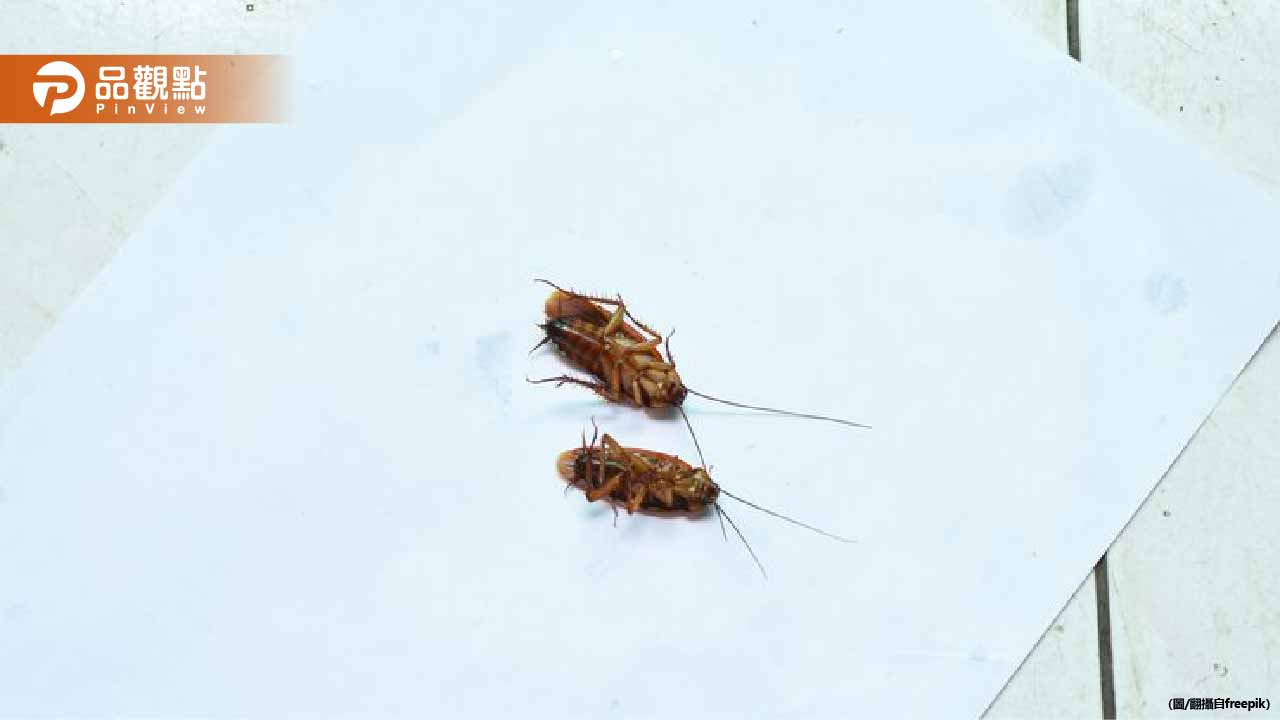男幫打蟑螂竟偷拍內褲還問「是色誘我嗎」判賠12萬