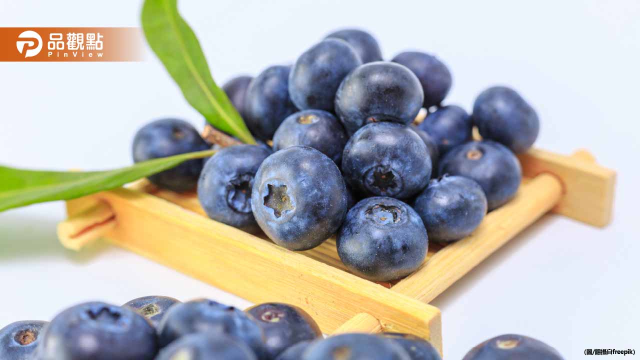 藍莓白粉竟是天然保護蠟！專家曝過度清洗反降營養價值