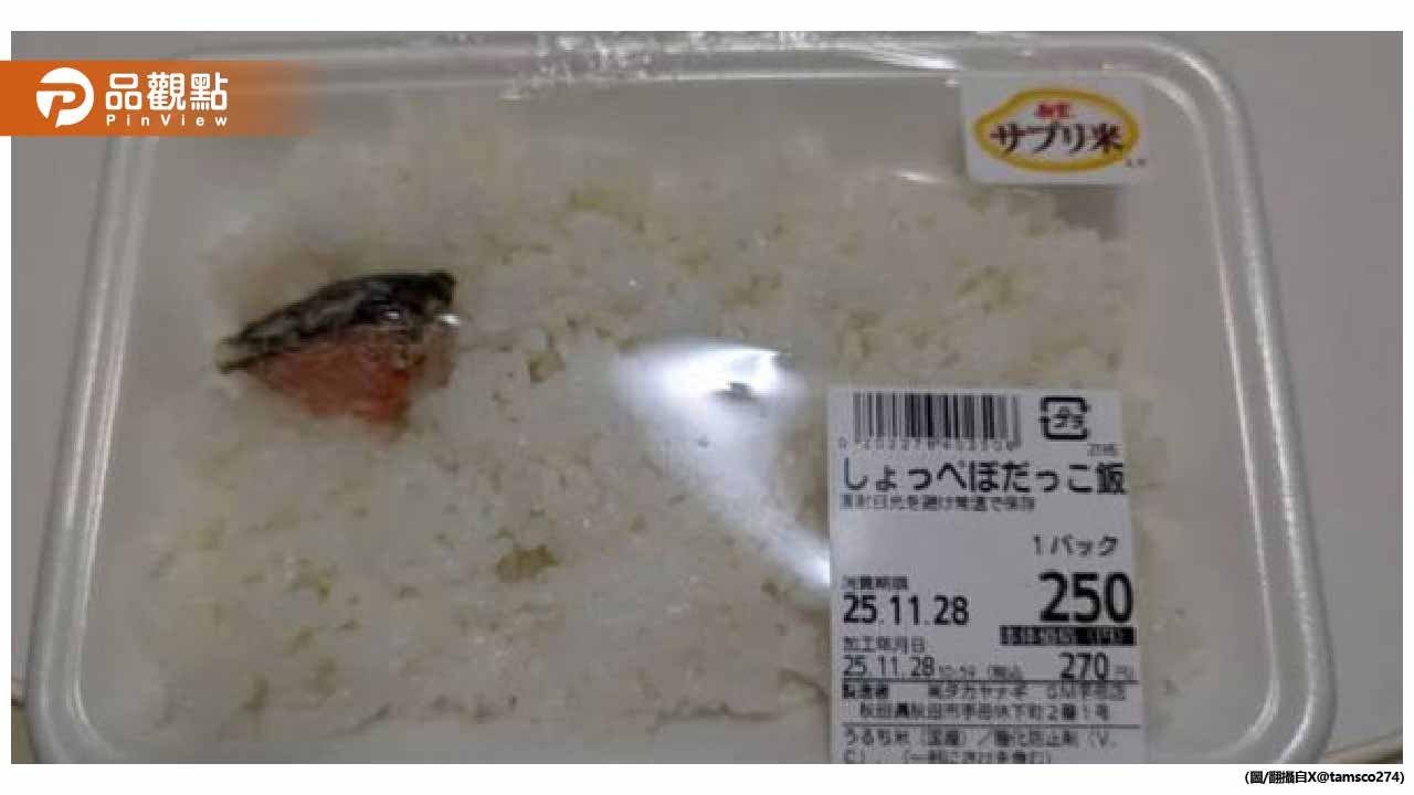 拇指大鮭魚配整盒白飯!日本極限便當瘋傳1500萬人看傻 拇指大鮭魚配整盒白飯!日本極限便當瘋傳1500萬人看傻