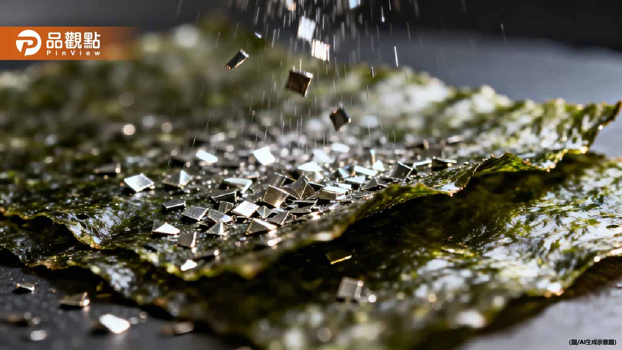 韓國嬰幼兒海苔驚爆重金屬超標53倍！醫：恐智力受損、骨骼病變