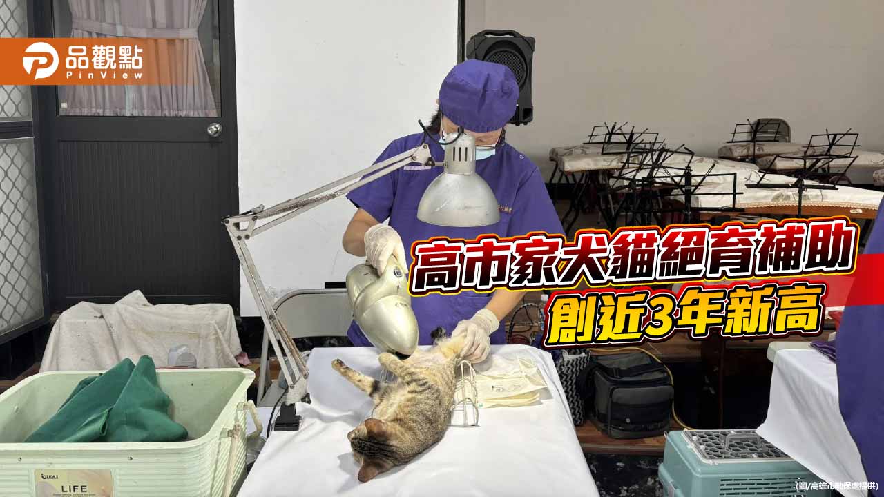 高雄家犬貓絕育補助近三年新高　責任飼養觀念持續升溫