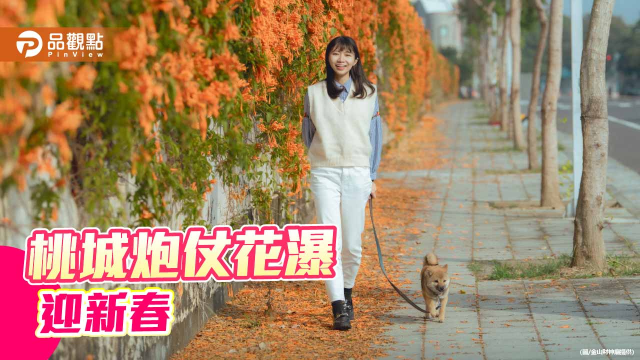 炮仗花瀑迎新春　嘉義市花季繽紛展開　