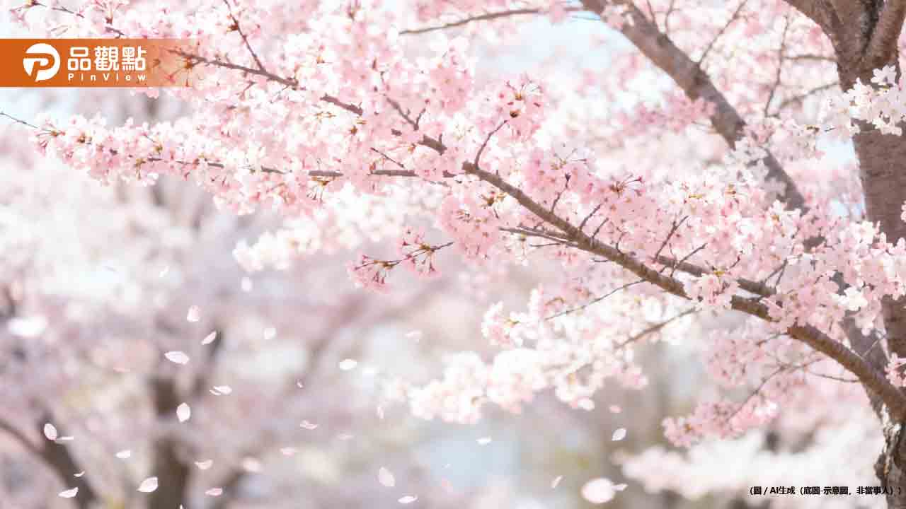 北橫櫻花季絕美登場！24個櫻花景點必收