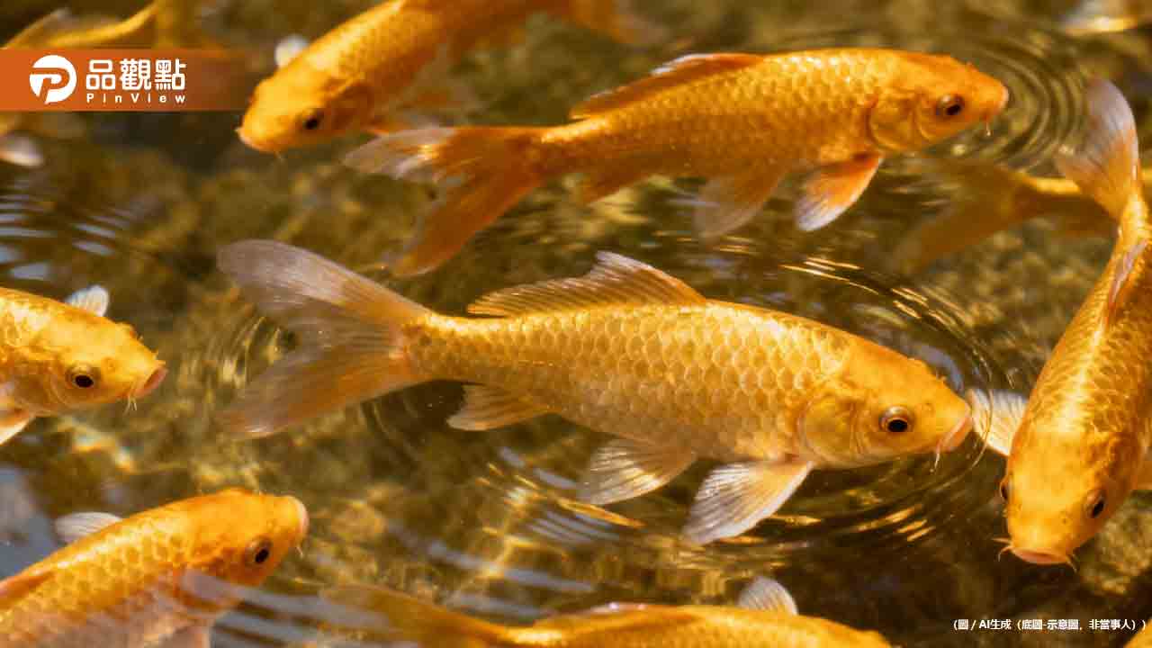 她在碧潭放生百隻金魚「幫媽媽祈福」遭重罰3萬元