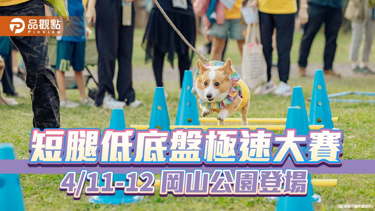 高雄「好伴」萌寵運動會4月登場　岡山公園趣味毛孩競技秀