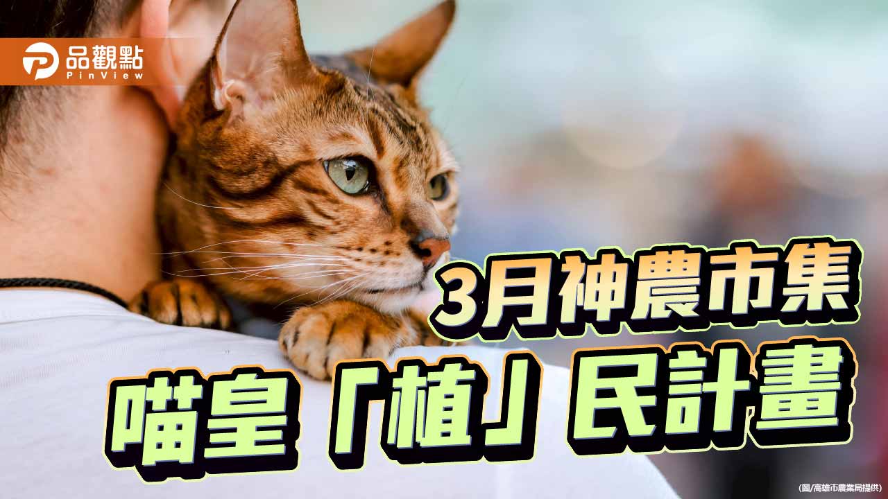 神農市集推寵物友善主題　「喵皇植民計畫」凹子底登場