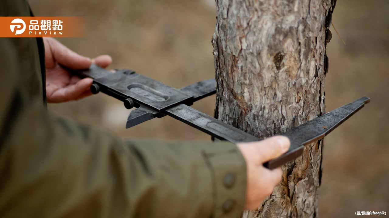 3.8公噸扁柏慘遭盜伐！山老鼠集團開車撞警車激烈抵抗