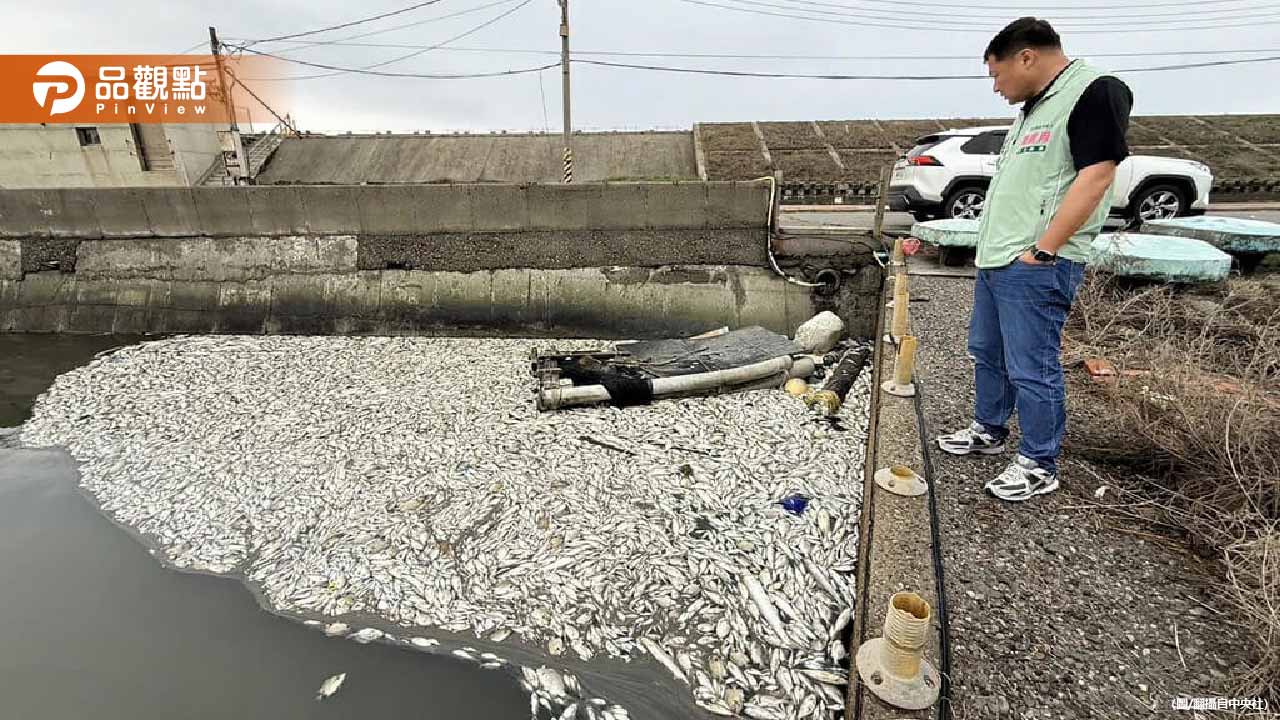 王功漁港驚見千隻魚群暴斃！滿滿魚屍遊客掩鼻逃