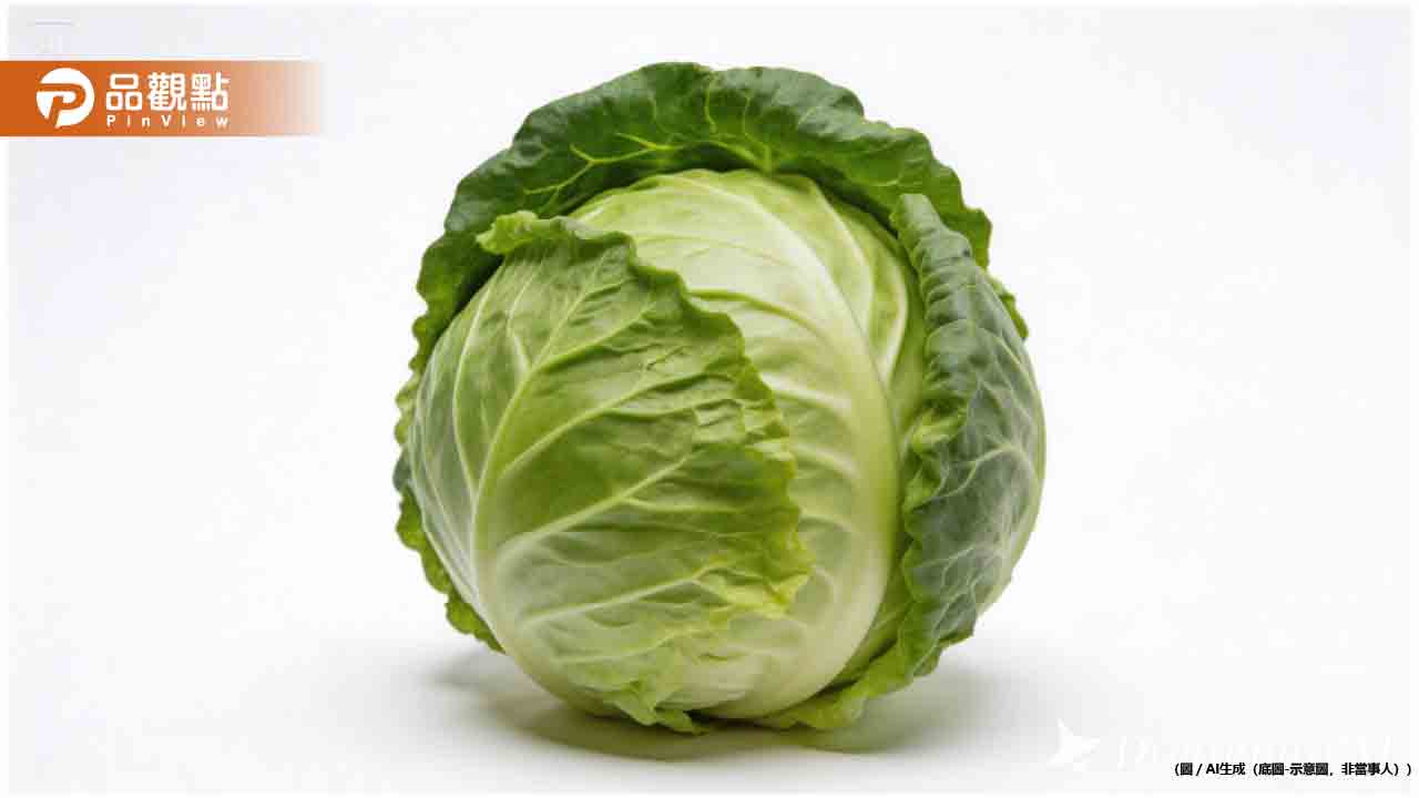 高麗菜這部位都被丟掉!營養師爆料:最營養就是它 高麗菜這部位都被丟掉!營養師爆料:最營養就是它