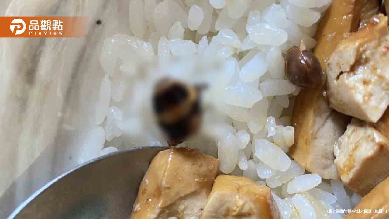 君悅排骨「飯有蟑螂頭」顧客嚇到！店家：換一碗給妳