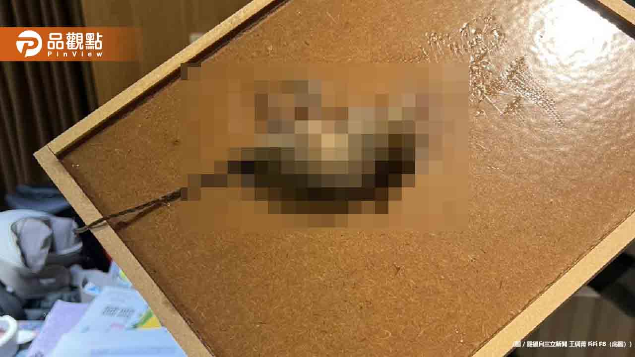 台北安鼠之亂延燒新北！漢他病毒首例現蹤 主播家冷氣驚現老鼠