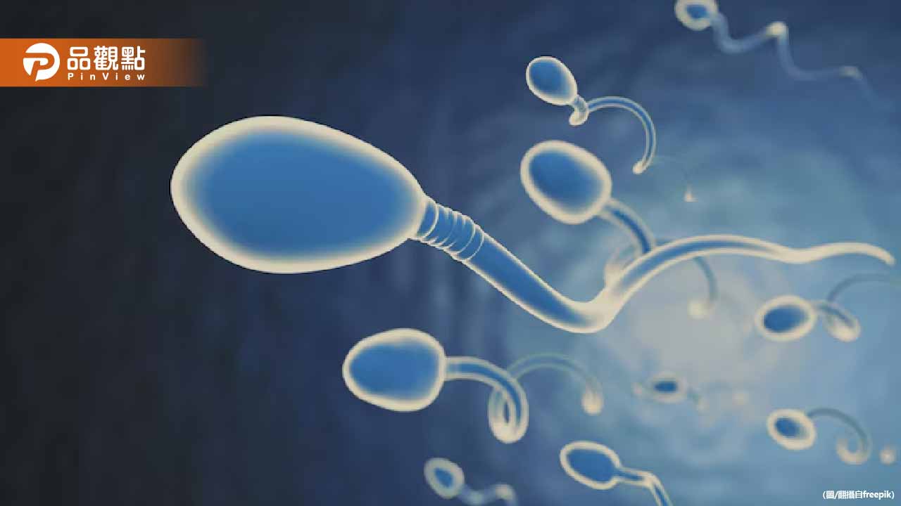 男性避孕革命來了！美國研究成功「關閉」精子生產　停藥完全恢復