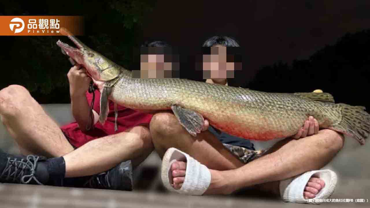 成大生釣走228公園吉祥物鱷雀鱔！專家警告「有毒」