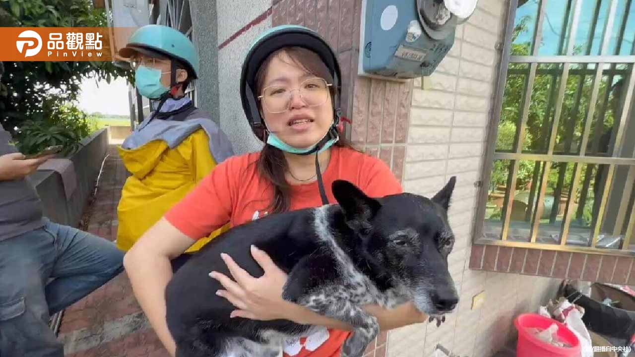 「陳美琪」50萬懸賞金給多少？女飼主：要開始吃土了