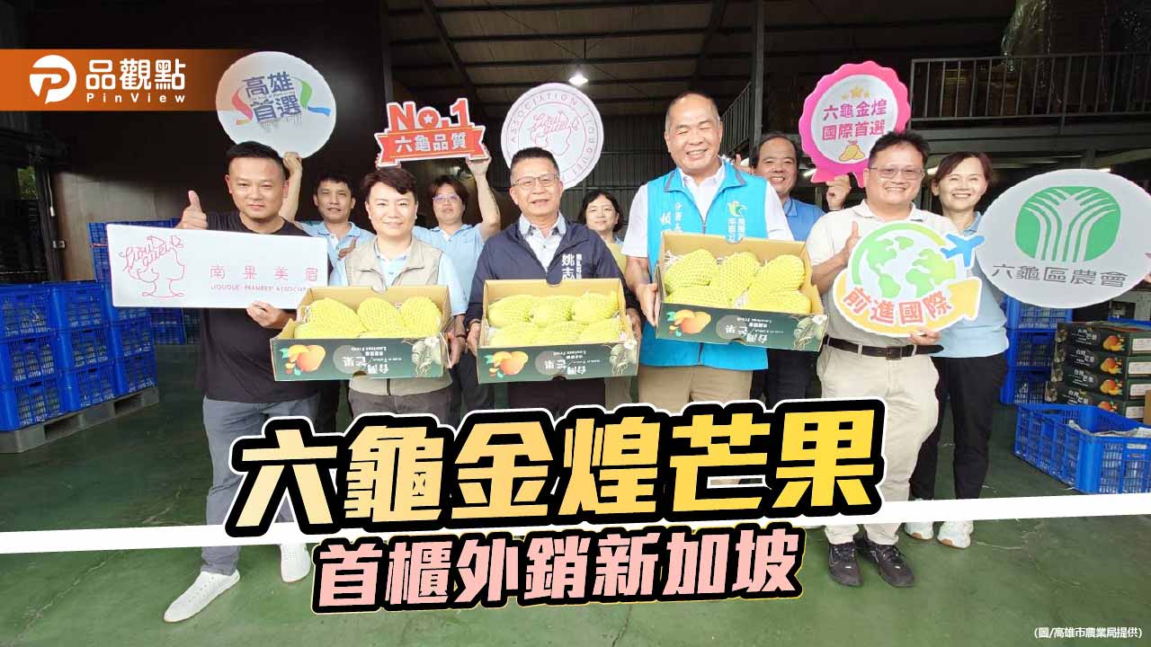 六龜金煌芒果首櫃外銷新加坡　高雄夏季果王搶攻國際市場
