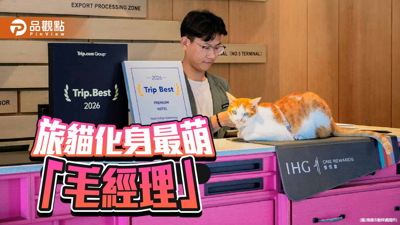 高雄英迪格旅貓計畫成功媒合5隻毛孩　動保處攜手企業推廣認養文化