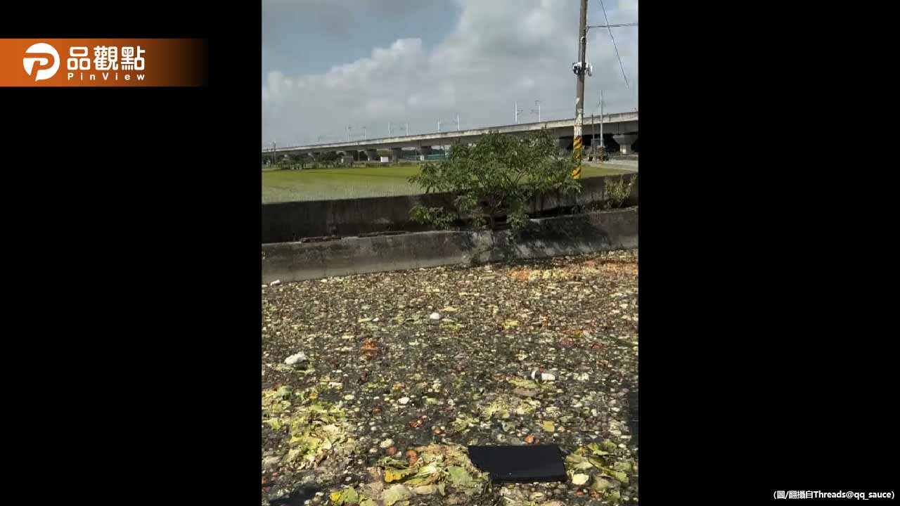 雲林高鐵旁排水溝慘變洋蔥海！直擊鐵牛車秒倒就逃 惡臭沖天