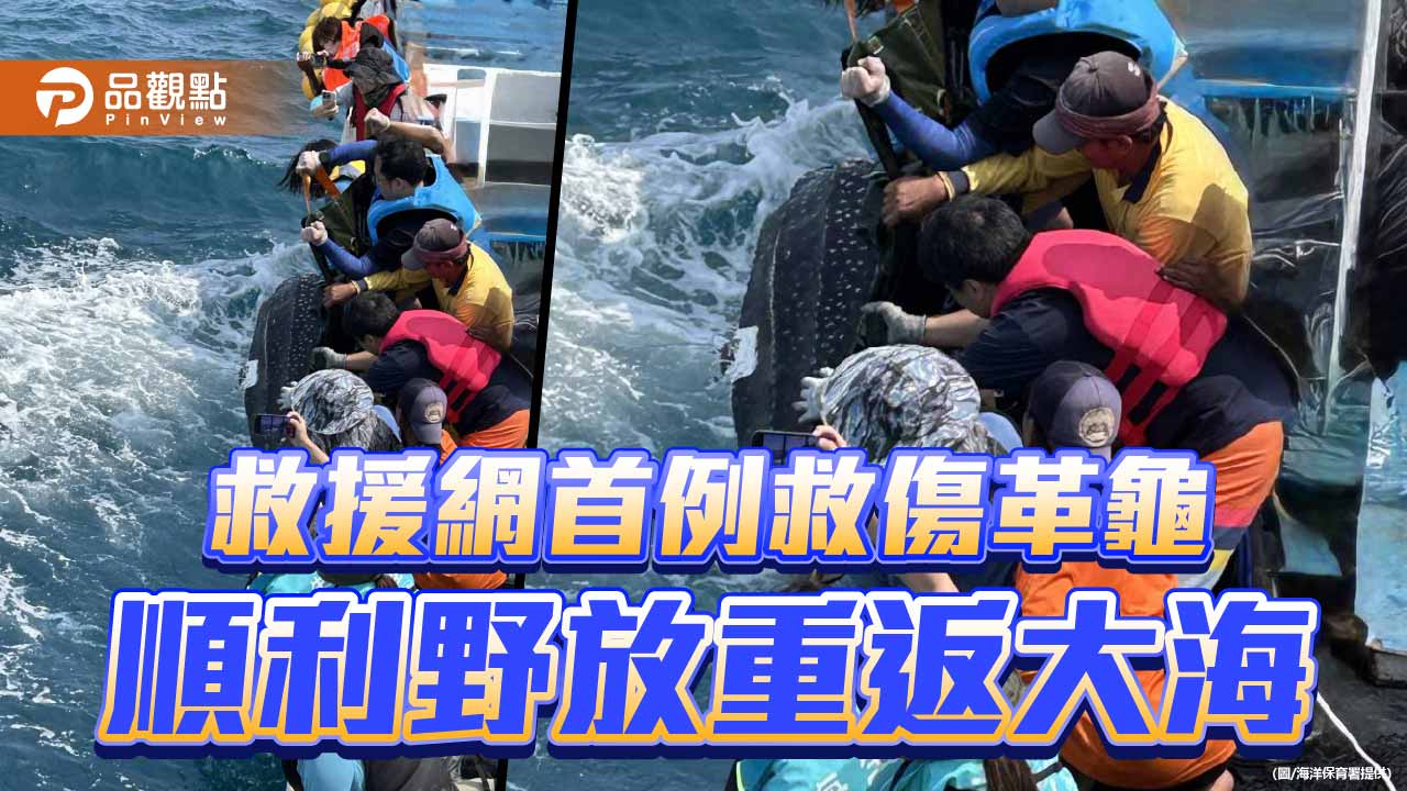 海保救援網首例成功救傷革龜　康復後重返大海