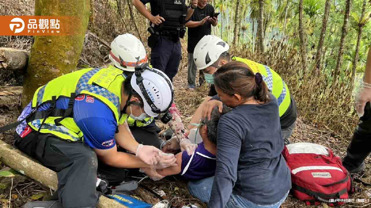 無颱風登陸虎頭蜂數量暴增！花蓮農民遭圍攻昏迷命危急救